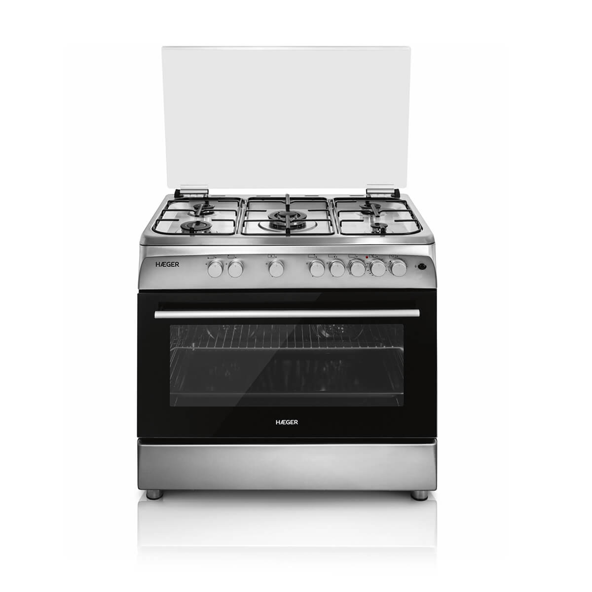 electric plus gas stove